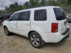 HONDA PILOT EXLN photo