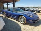 CHEVROLET CORVETTE photo