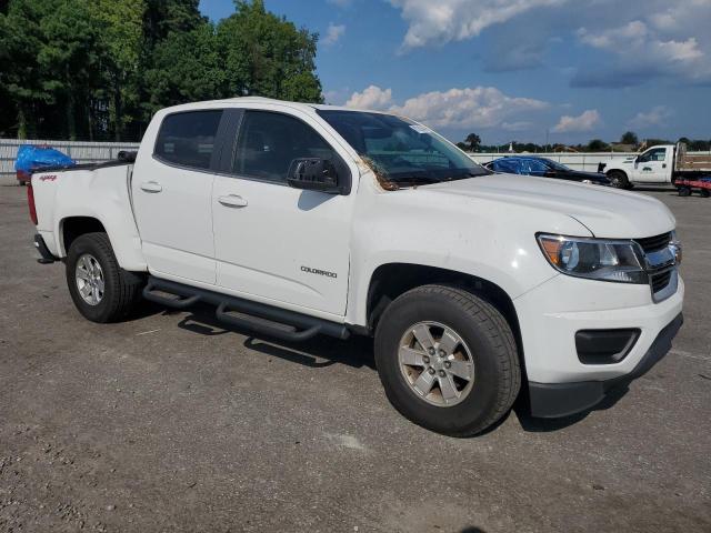 2019 CHEVROLET COLORADO - 1GCGTBEN8K1192027