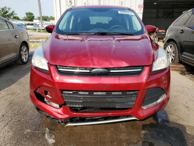 VIN 1FMCU0GX9EUE50505 2014 Ford Escape, SE no.5