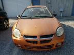 Lot #2938376709 2005 DODGE NEON SXT