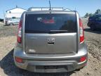 KIA SOUL + photo