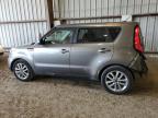 KIA SOUL + photo