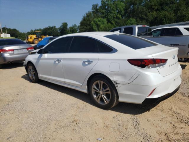 2019 HYUNDAI SONATA LIM - 5NPE34AF5KH768599