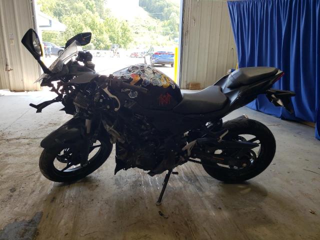2024 KAWASAKI NINJA 500 - ML5EXGH1XRDA06544