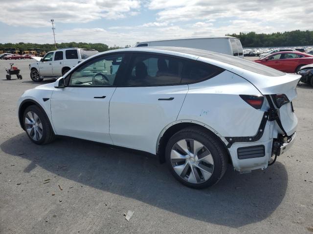 2023 TESLA MODEL Y - 7SAYGDEE7PA208978