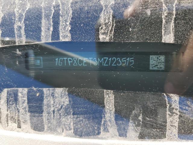 2021 GMC SIERRA C15 - 1GTP8CET3MZ123515