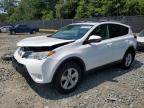 TOYOTA RAV4 XLE photo