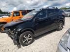2016 TOYOTA RAV4 XLE - 2T3RFREV8GW537798