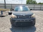 KIA SOUL photo