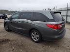 HONDA ODYSSEY EX photo