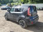 KIA SOUL photo