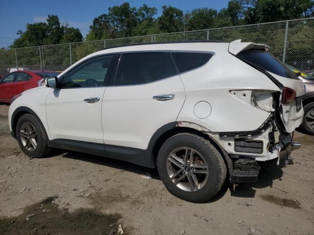2017 HYUNDAI SANTA FE S - 5XYZUDLBXHG423612