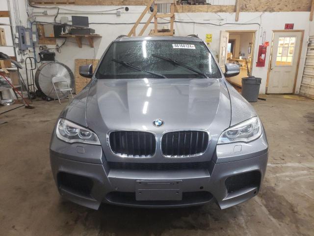 VIN 5YMGY0C56D0C11590 2013 BMW X5, M no.5