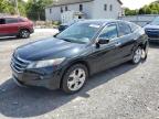 HONDA CROSSTOUR photo