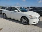 NISSAN MAXIMA S photo