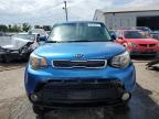 KIA SOUL + photo