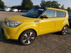 KIA SOUL ! photo