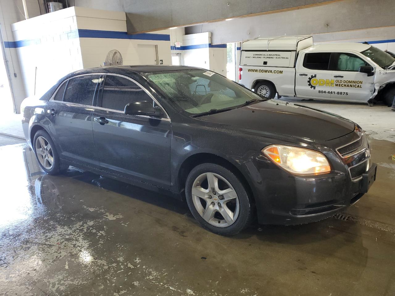 Lot #2789004699 2010 CHEVROLET MALIBU LS