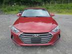 HYUNDAI ELANTRA SE photo