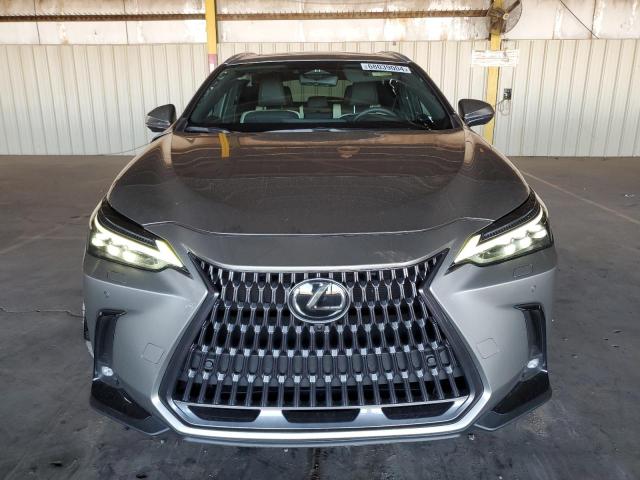 2024 LEXUS NX 350 LUX 2T2HGCEZXRC036431