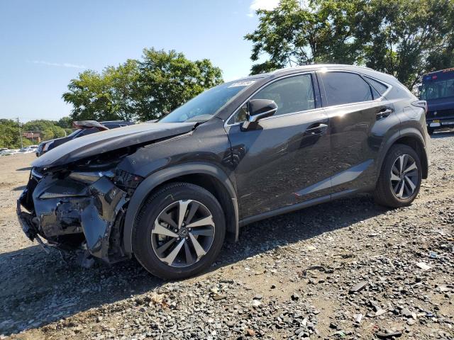 LEXUS NX 300 BAS 2021 charcoal  gas JTJGARDZ0M2257904 photo #1