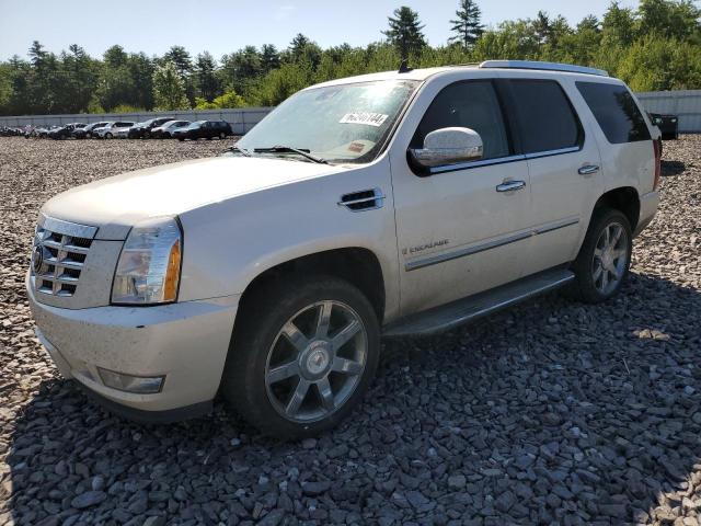 2007 CADILLAC ESCALADE L #2794353921