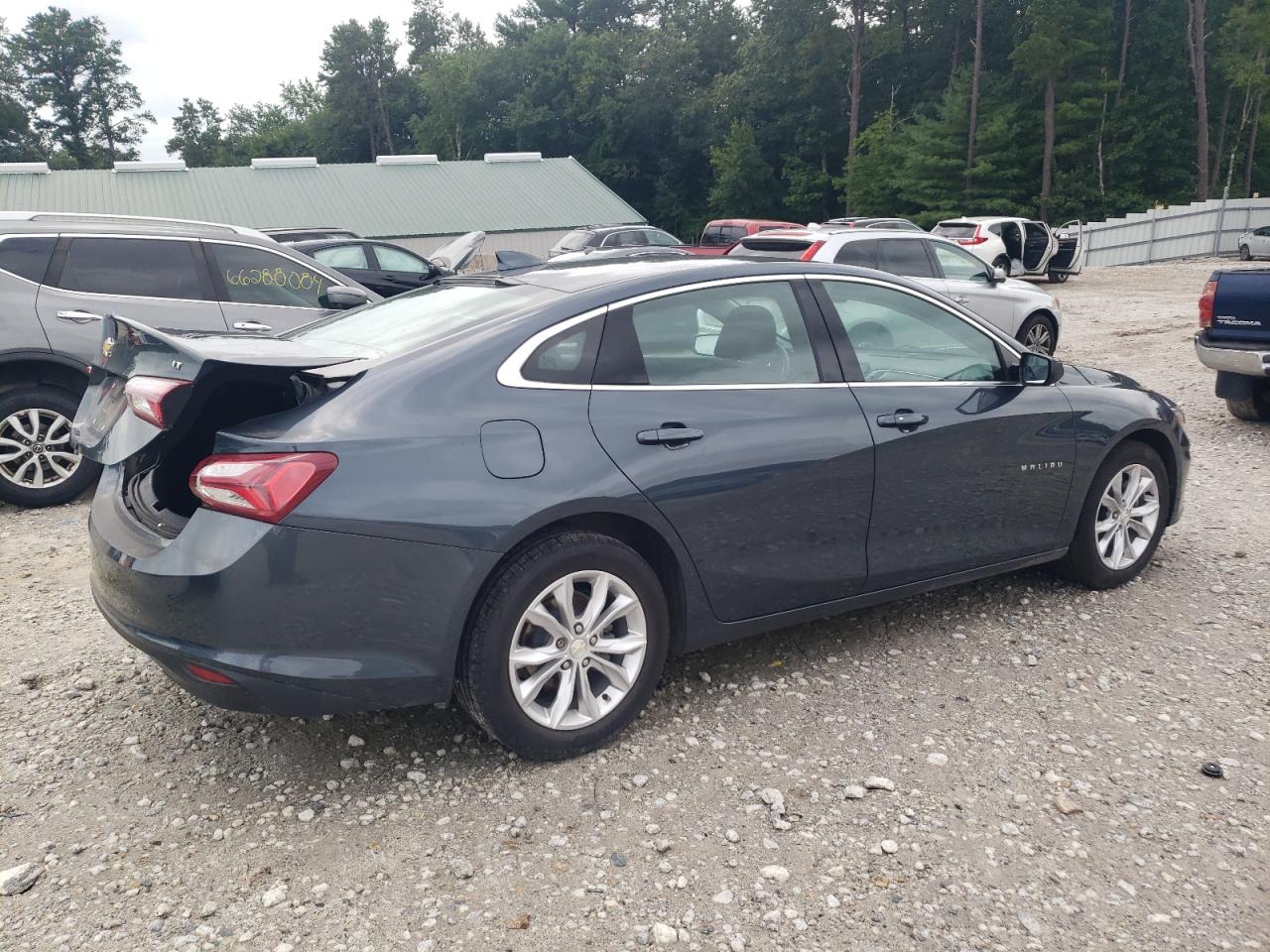 Lot #2976829762 2019 CHEVROLET MALIBU LT