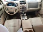 FORD ESCAPE XLT photo