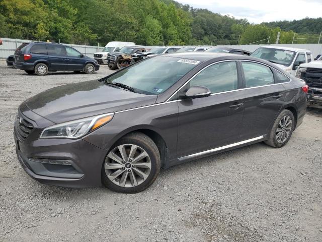 2017 HYUNDAI SONATA SPO - 5NPE34AF9HH455886
