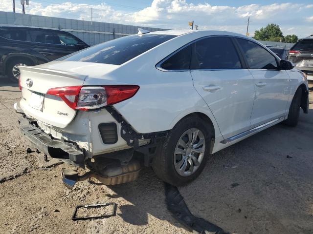 2017 HYUNDAI SONATA SPO - 5NPE34AF8HH525555