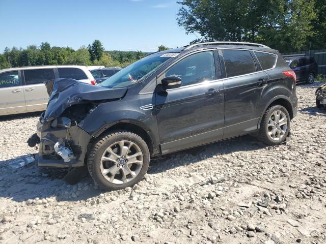 Global Auto Auctions: 2013 FORD ESCAPE SEL