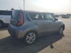 KIA SOUL + photo