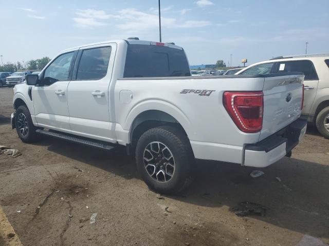 2023 FORD F150 SUPER - 1FTEW1EP4PFB31651