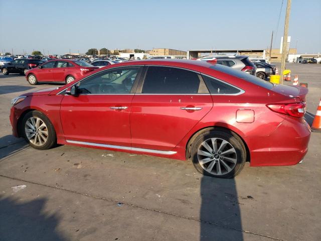 2017 HYUNDAI SONATA SPO - 5NPE34AF6HH589643