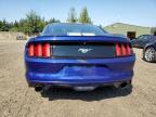 FORD MUSTANG photo