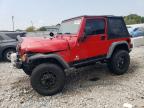 JEEP WRANGLER / photo