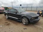 Lot #3030492460 2005 FORD MUSTANG