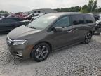 HONDA ODYSSEY TO photo