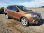 FORD ESCAPE SE photo