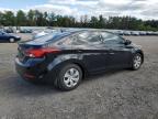 HYUNDAI ELANTRA SE photo