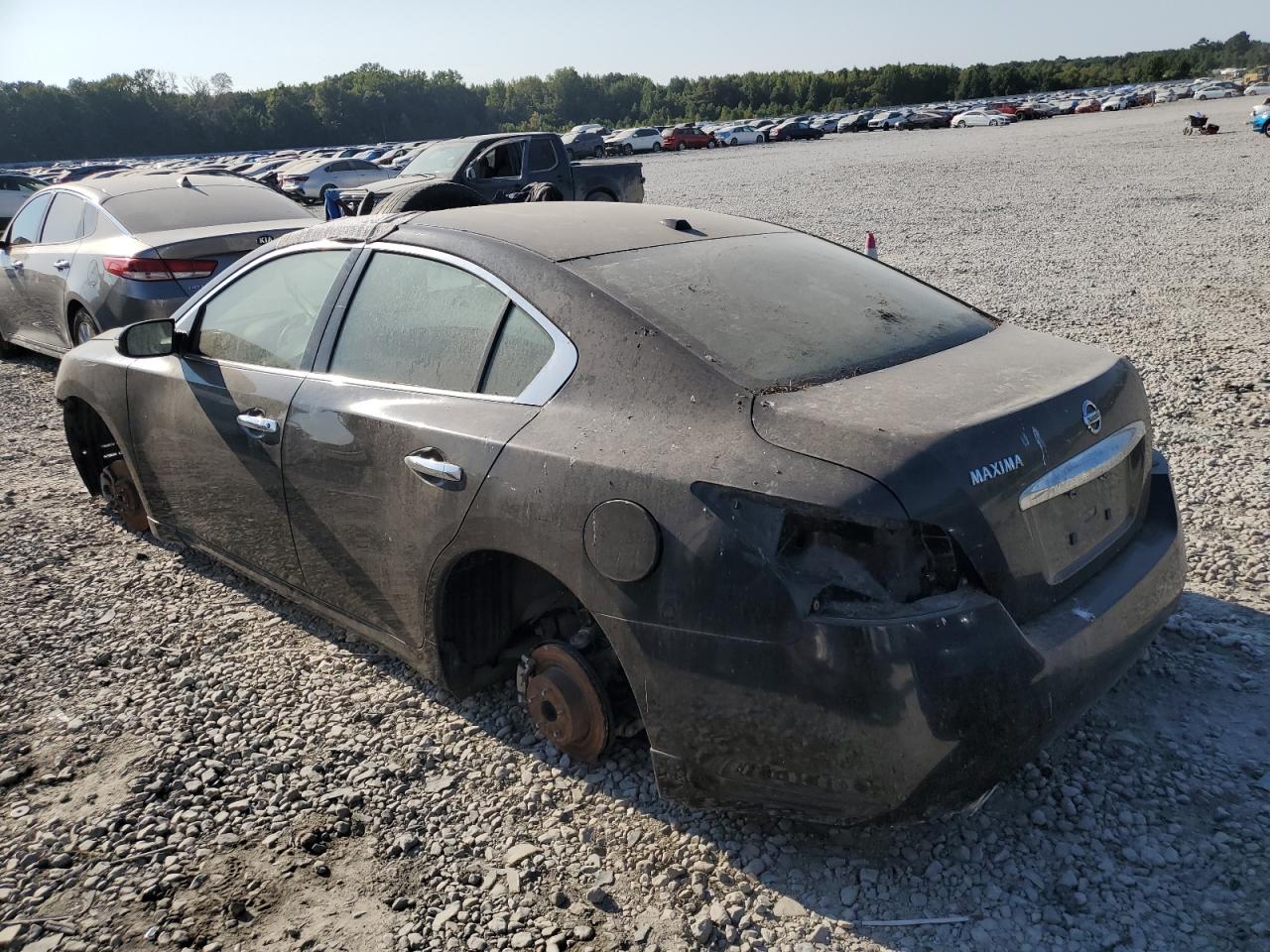 Lot #2962478735 2014 NISSAN MAXIMA S