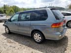 HONDA ODYSSEY EX photo