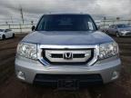 HONDA PILOT EXL photo