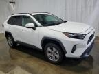 TOYOTA RAV4 XLE photo