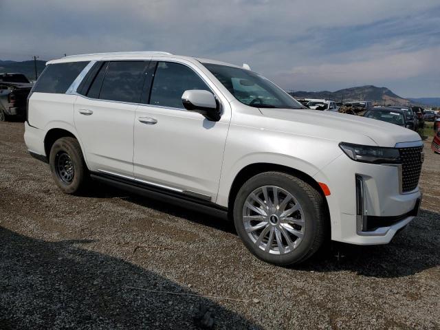 2023 CADILLAC ESCALADE P - 1GYS4CKL4PR292662