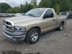 Lot #2869668946 2002 DODGE RAM 1500