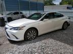 2020 LEXUS ES 350 - 58ADZ1B17LU065478