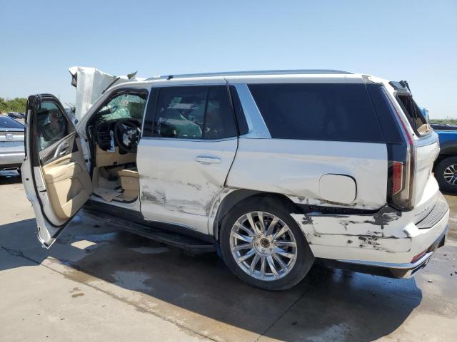 2023 CADILLAC ESCALADE P - 1GYS4BKL0PR503785