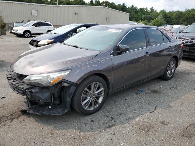 2016 TOYOTA CAMRY LE - 4T1BF1FK8GU141919